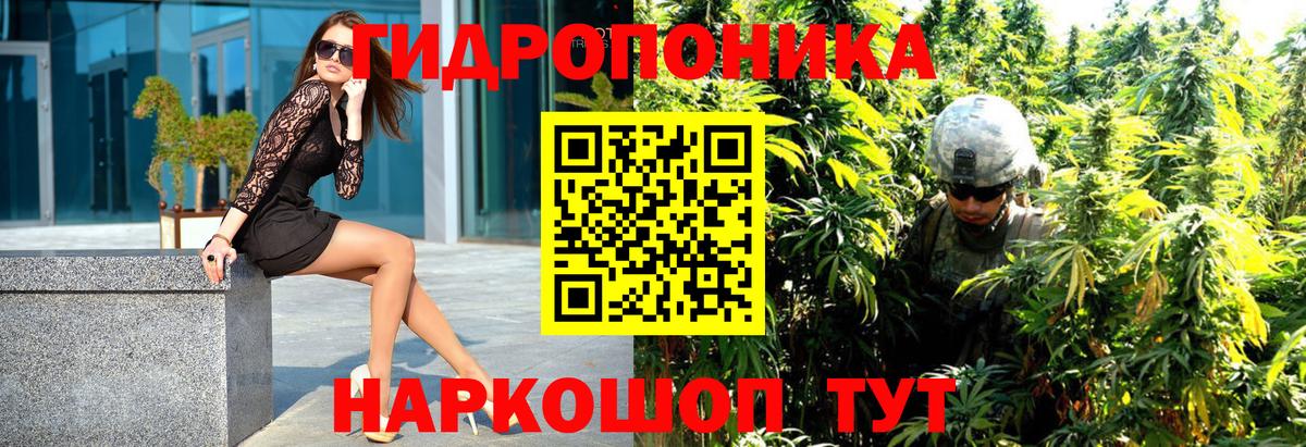Бошки Шишки OG Kush Братск